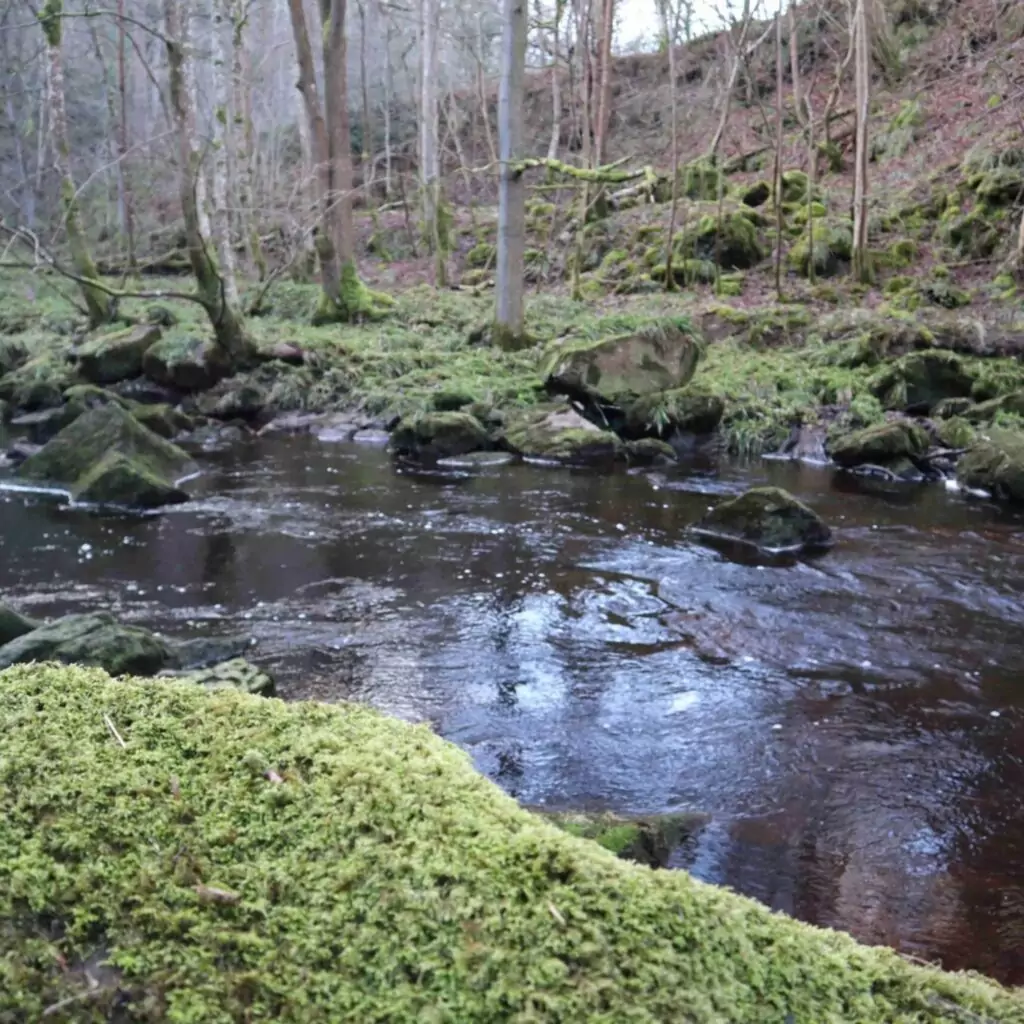 Goathland, North Yorkshire