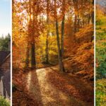 Autumn leaf peeping: 12 North East spots and where we’d eat after