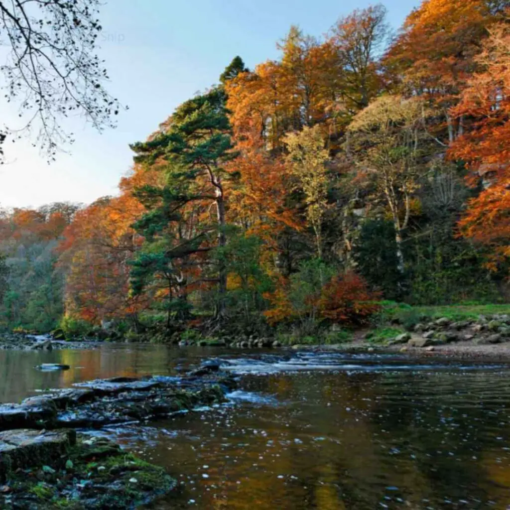 Allen Banks & Staward Gorge