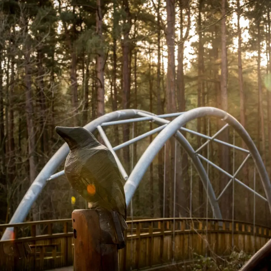 Hamsterley Forest