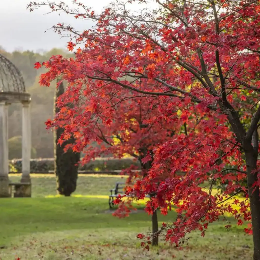 Thorp Perrow Arboretum