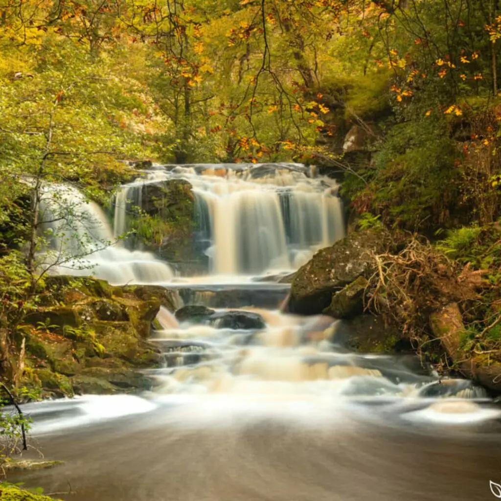 Goathland, North Yorkshire - Image credit: The Yorkshire Gallery