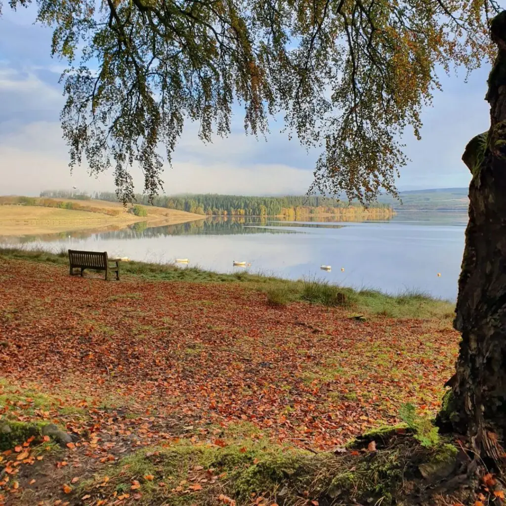 Kielder Water & Forest Park