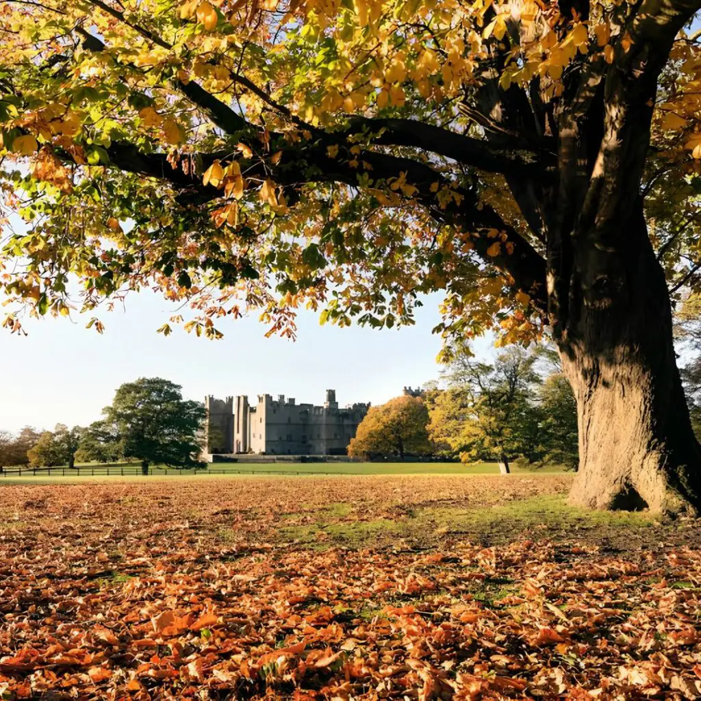 Raby Castle Estate, County Durham