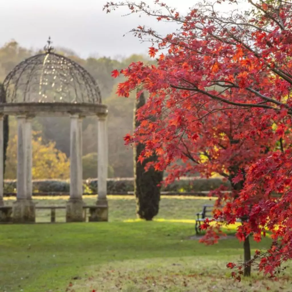 Thorp Perrow Arboretum, North Yorkshire