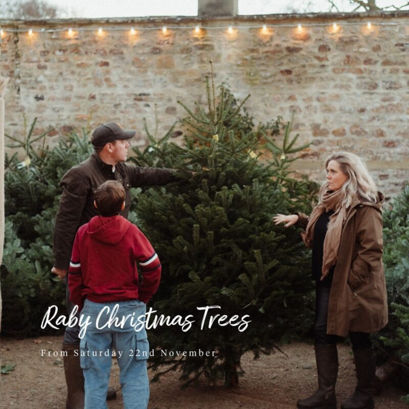 Real Raby Christmas Trees - until 24th Dec