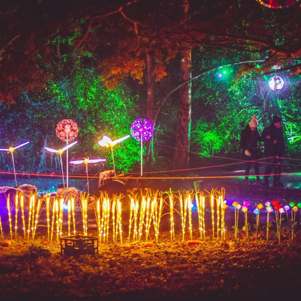 Advent calendar of 24 magical experiences across the North East via bus