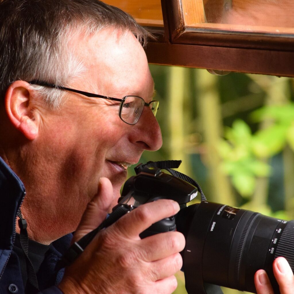 What’s on at WWT Washington Wetland this festive season