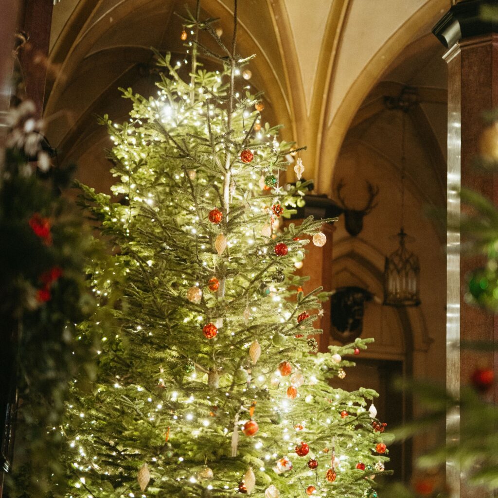 Raby Castle opens for a new Christmas experience for the first time in 50 years