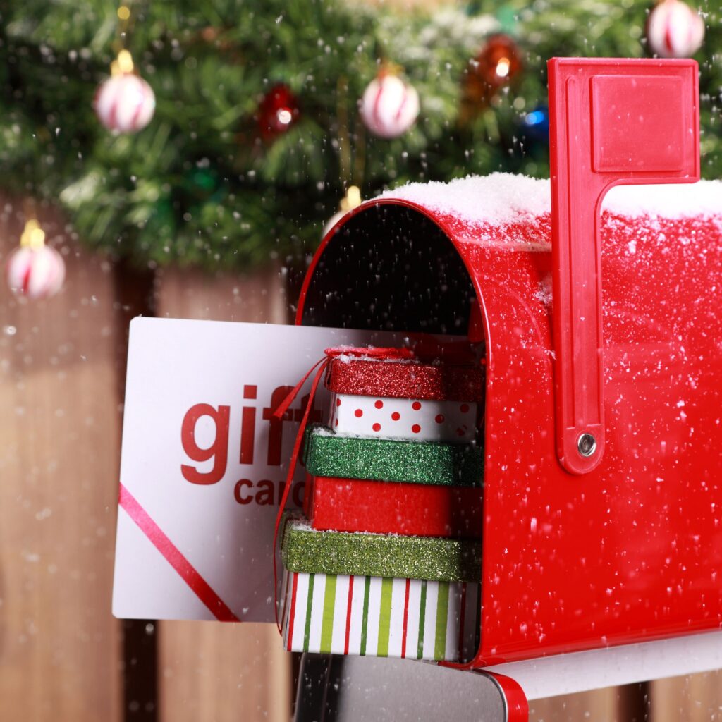 We spoke to a North East fraud expert about the scams to watch out for this Christmas