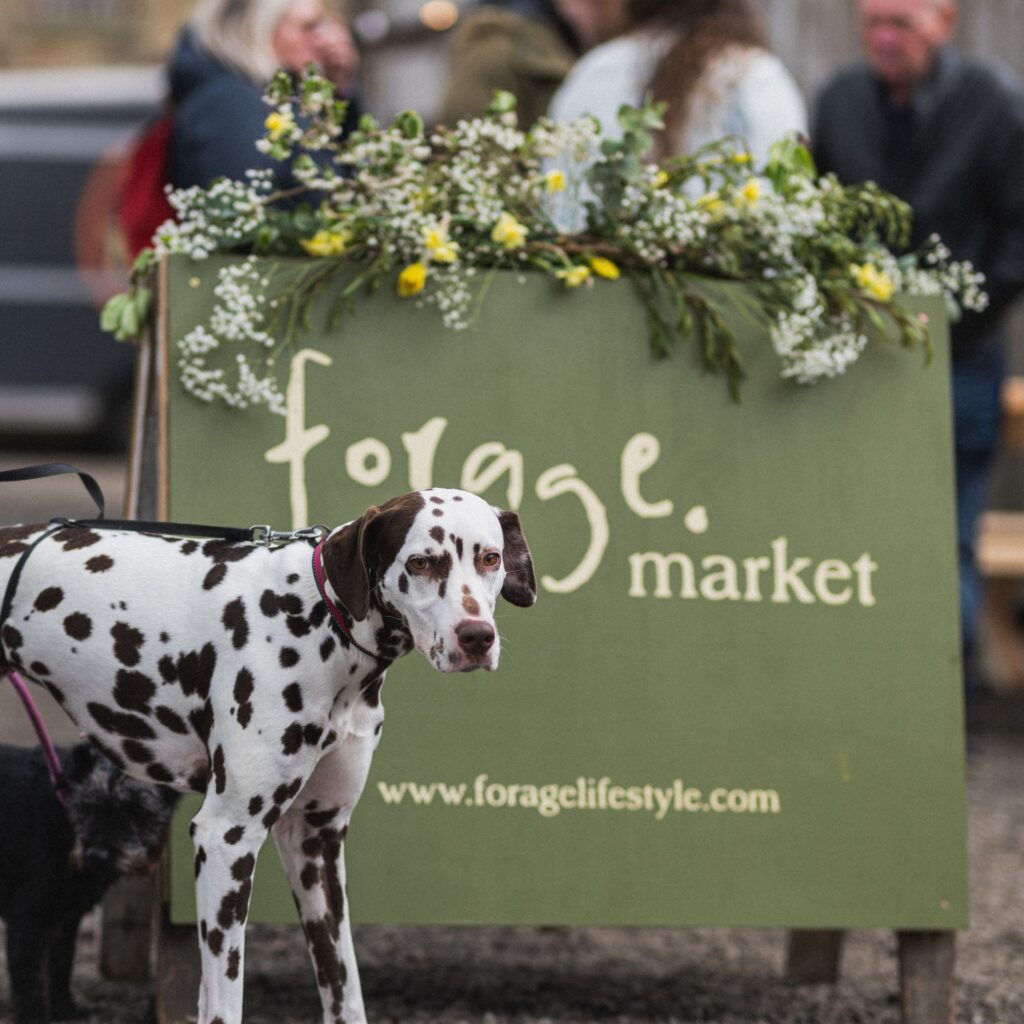 Forage Market at RIgg and Furrow