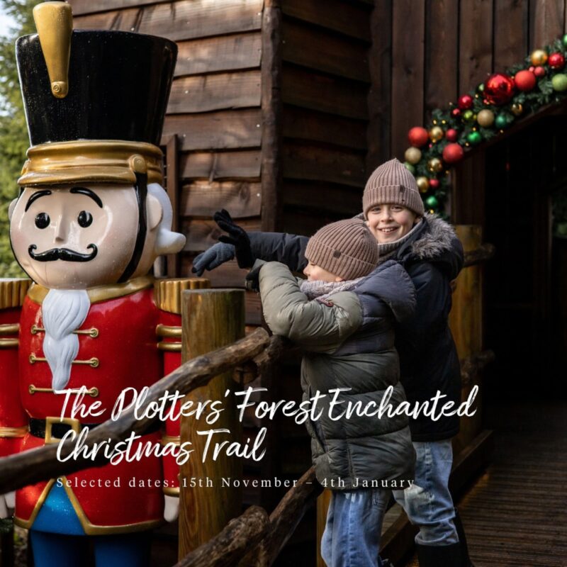 The Plotters’ Forest Enchanted Christmas Trail – 15th Nov – 4th Jan