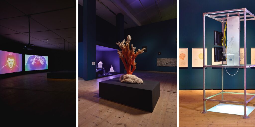 These new exhibitions at Baltic will transport you to other worlds
