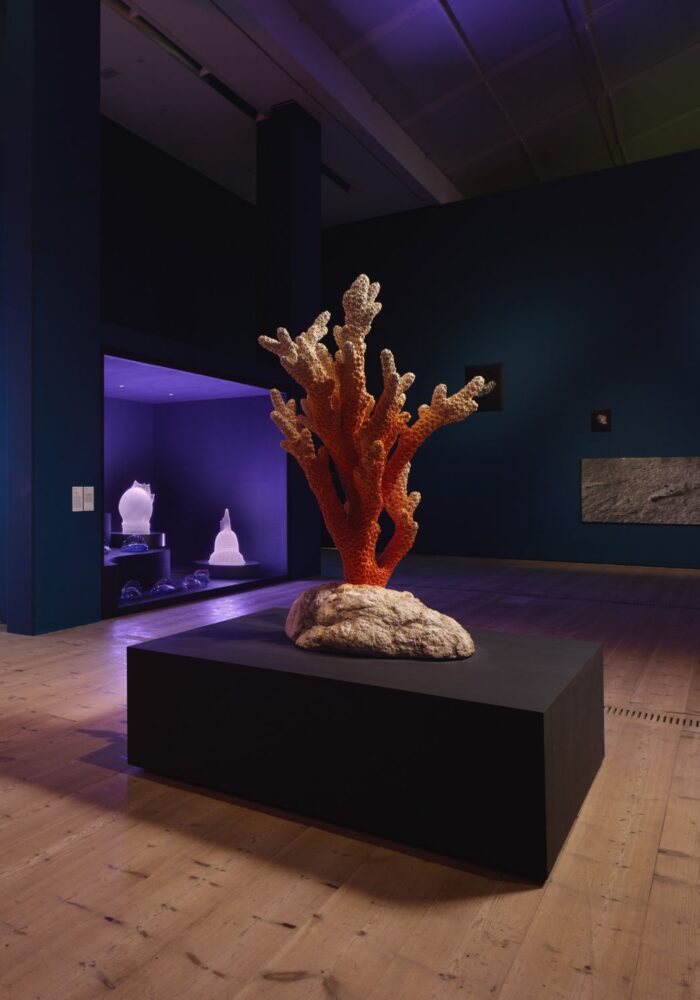 These new exhibitions at Baltic will transport you to other worlds