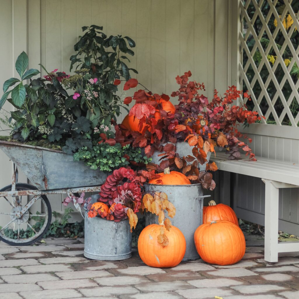 Bradley Gardens is the hidden gem serving cosy supper clubs, stunning gardens and gift shops