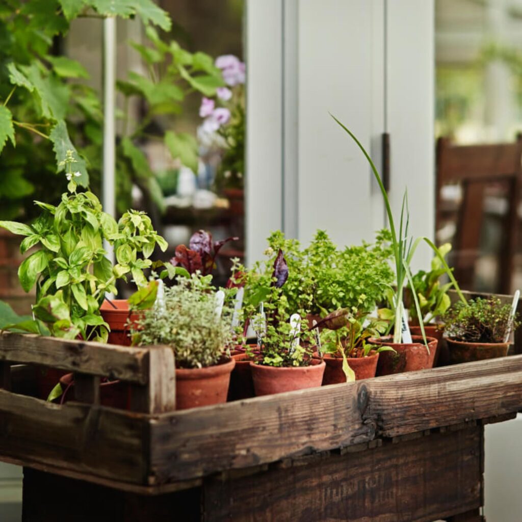 Bradley Gardens is the hidden gem serving cosy supper clubs, stunning gardens and gift shops