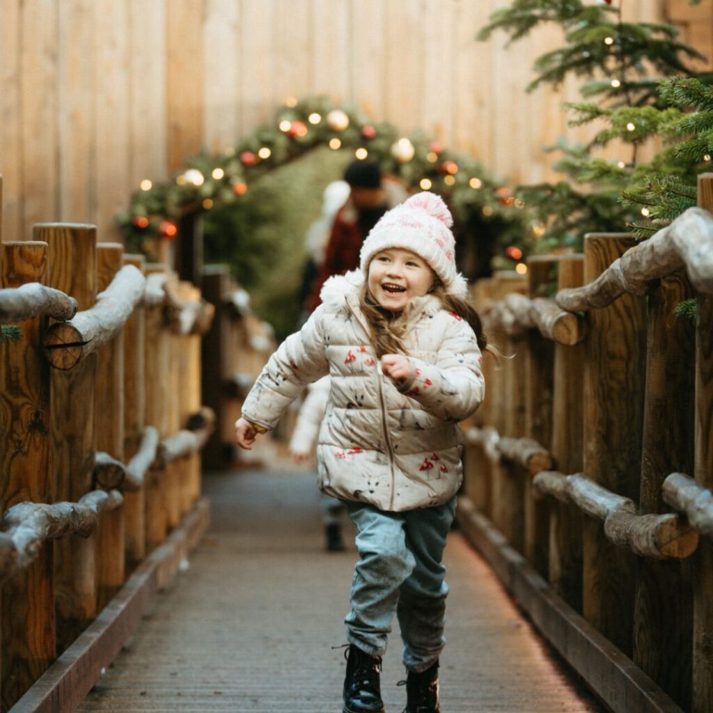 The Plotters' Forest Enchanted Christmas Trail 2025