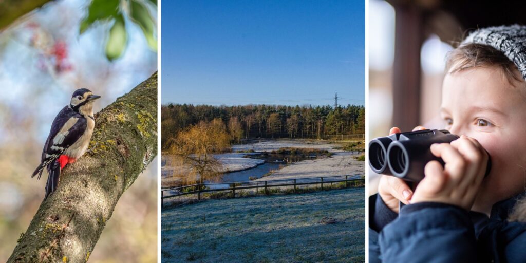 What’s on at WWT - Washington Wetland this festive season