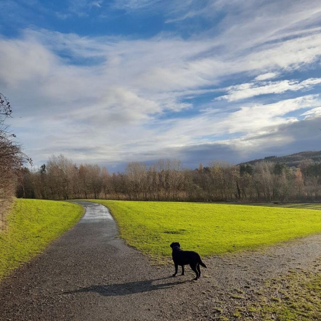 Watergate Forest Park