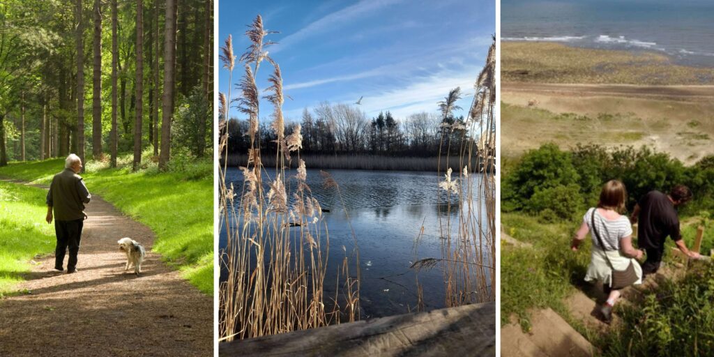 9 slow and scenic walking routes in the North East