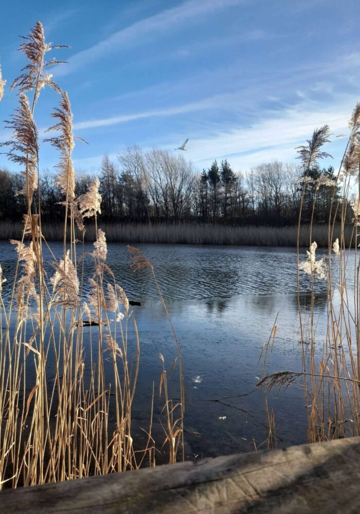 9 slow and scenic walking routes in the North East