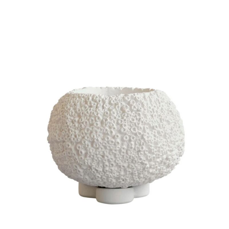 Lamp Masters - Urchin Plant Pot - £49.00