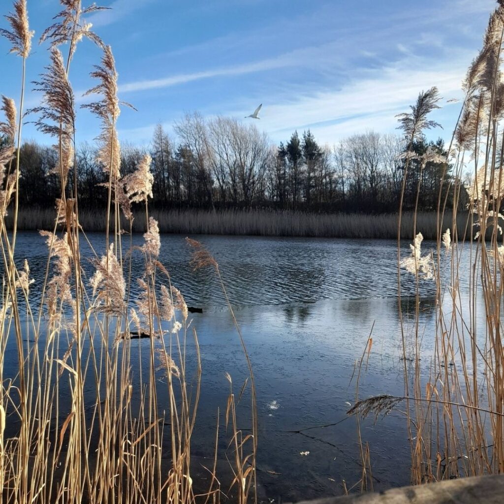 Watergate Park Circular