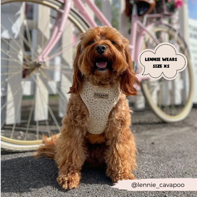 COCOPUP - Crochet Harness - £30.00