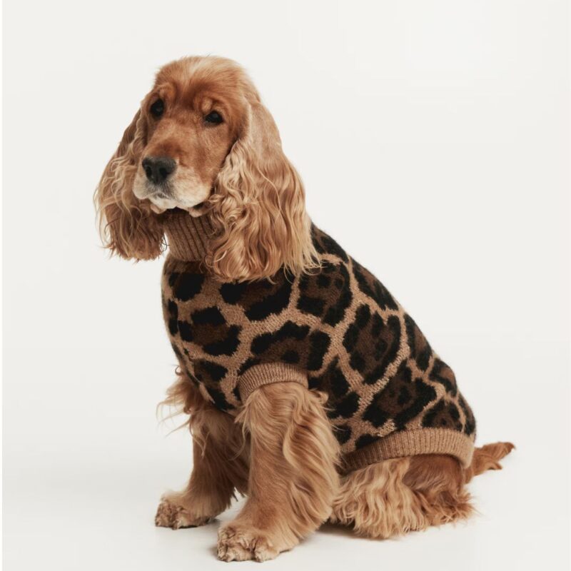 H&M - Knit Dog Jumper - £19.99