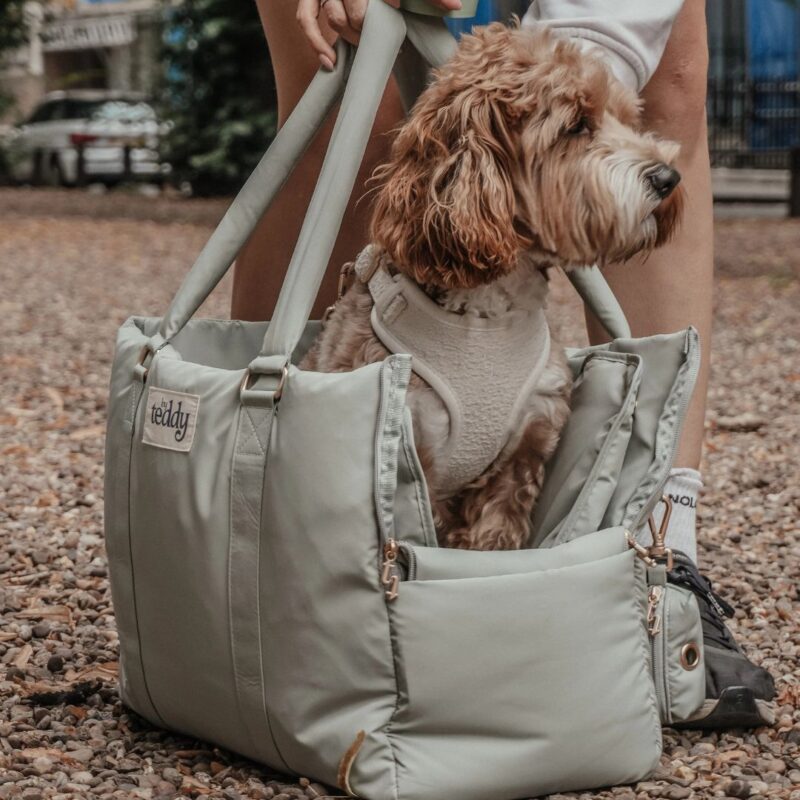 By Teddy - Puffer Carrier - £105.00
