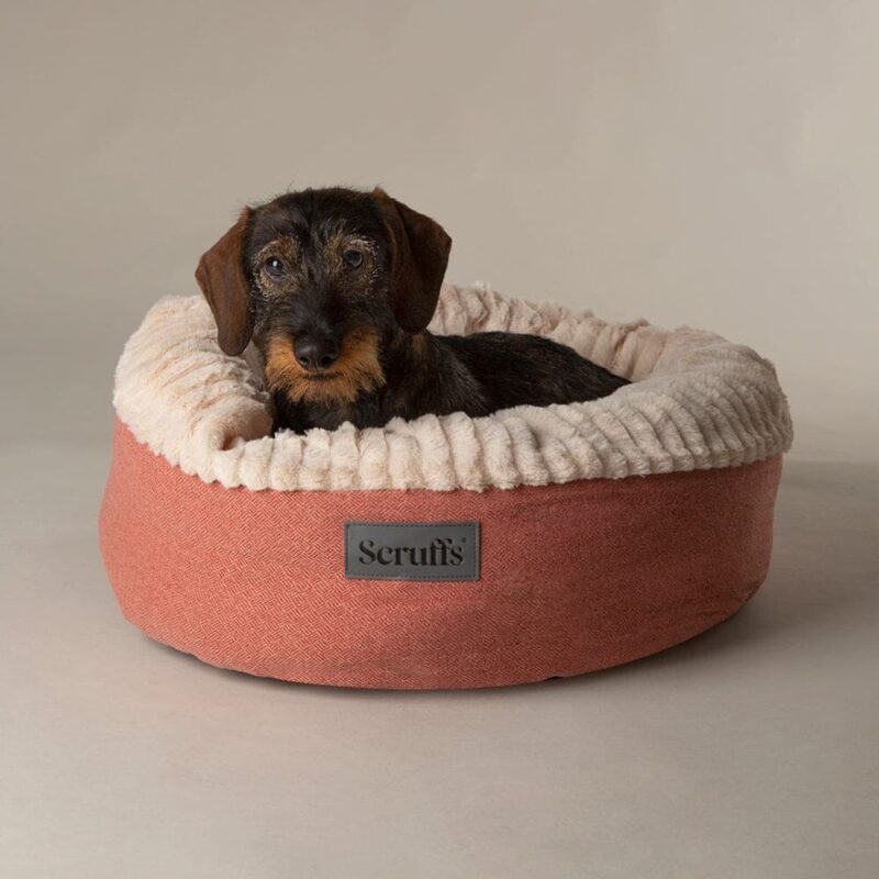 Scruffs - Ellen Donut Bed - from £44.99