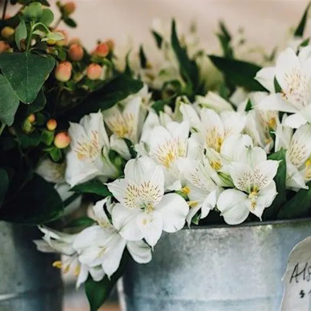 Winter White Flower Bouquet Workshop - Newcastle