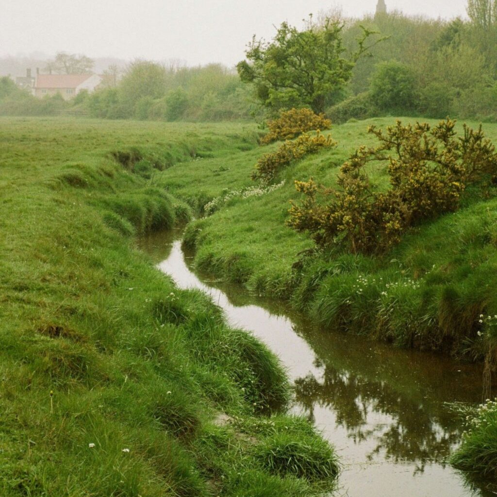 Loved Wuthering Heights? Saltmoore launches film-inspired romantic escape across the Yorkshire Moors
