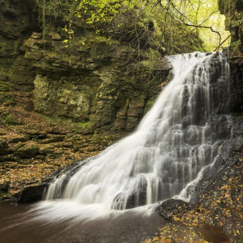 Harseshaw Linn