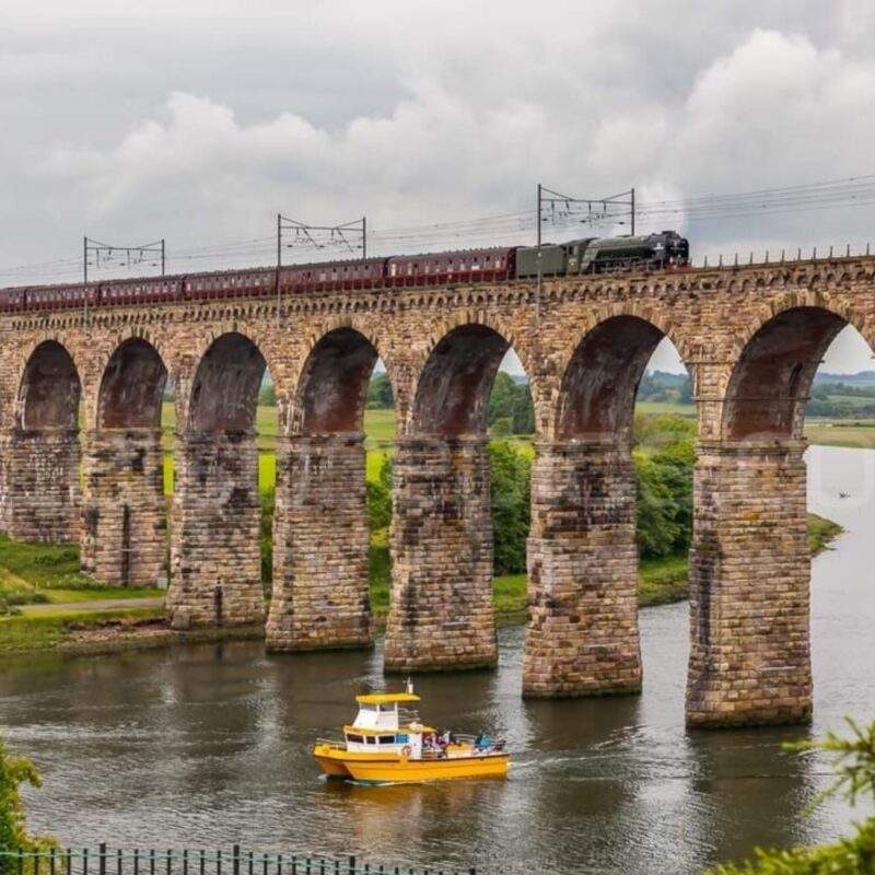 Berwick Boat Trips