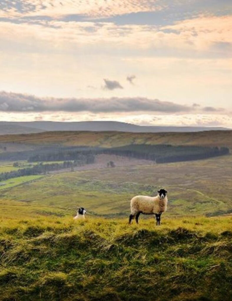 Weardale