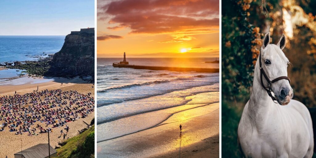 12 coastal and countryside wellness days out in the North East to beat the winter blues