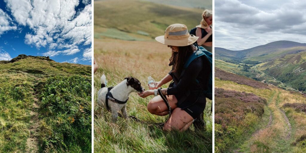 Love the outdoors? These North East hiking groups are calling