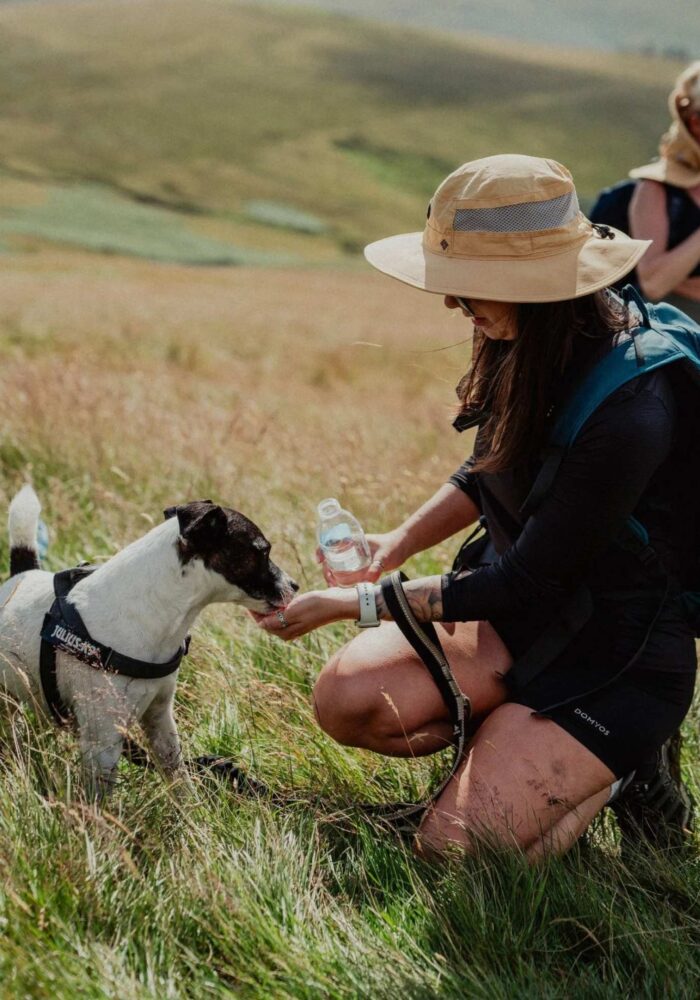 Love the outdoors? These North East hiking groups are calling