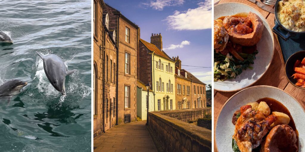 Seafront saunas, dolphin watching and hidden gems: 4 under-the-radar Northumberland villages for slow living