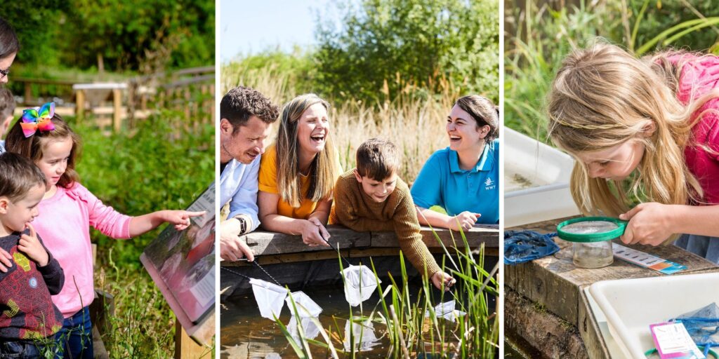 From mini vet missions to a hidden Gozzle hunt: The new interactive trail kids will love at WWT Washington Wetland Centre