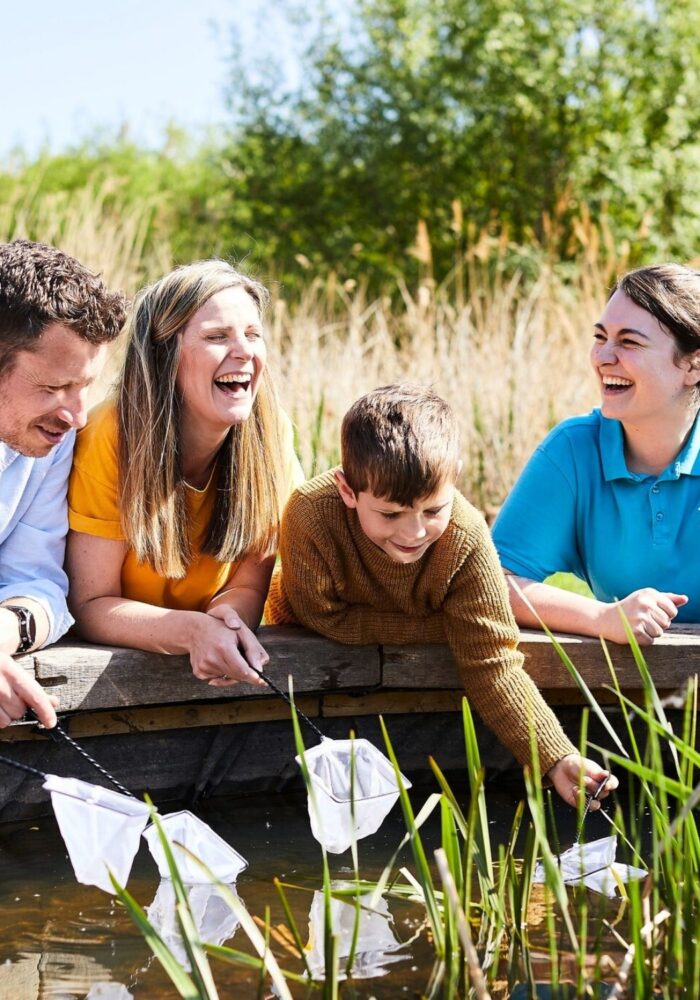 From mini vet missions to a hidden Gozzle hunt: The new interactive trail kids will love at WWT Washington Wetland Centre