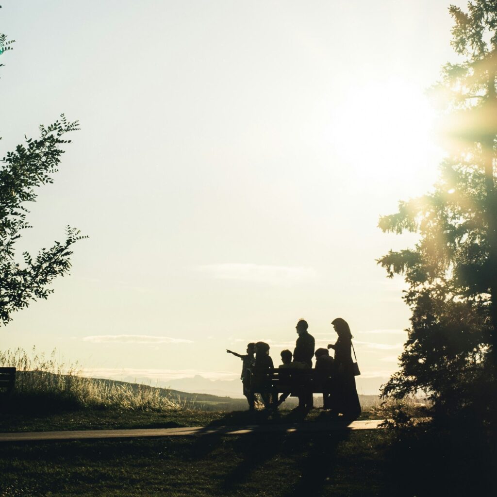A family is gathered in the park. They are sillouettes against the afternoon sun