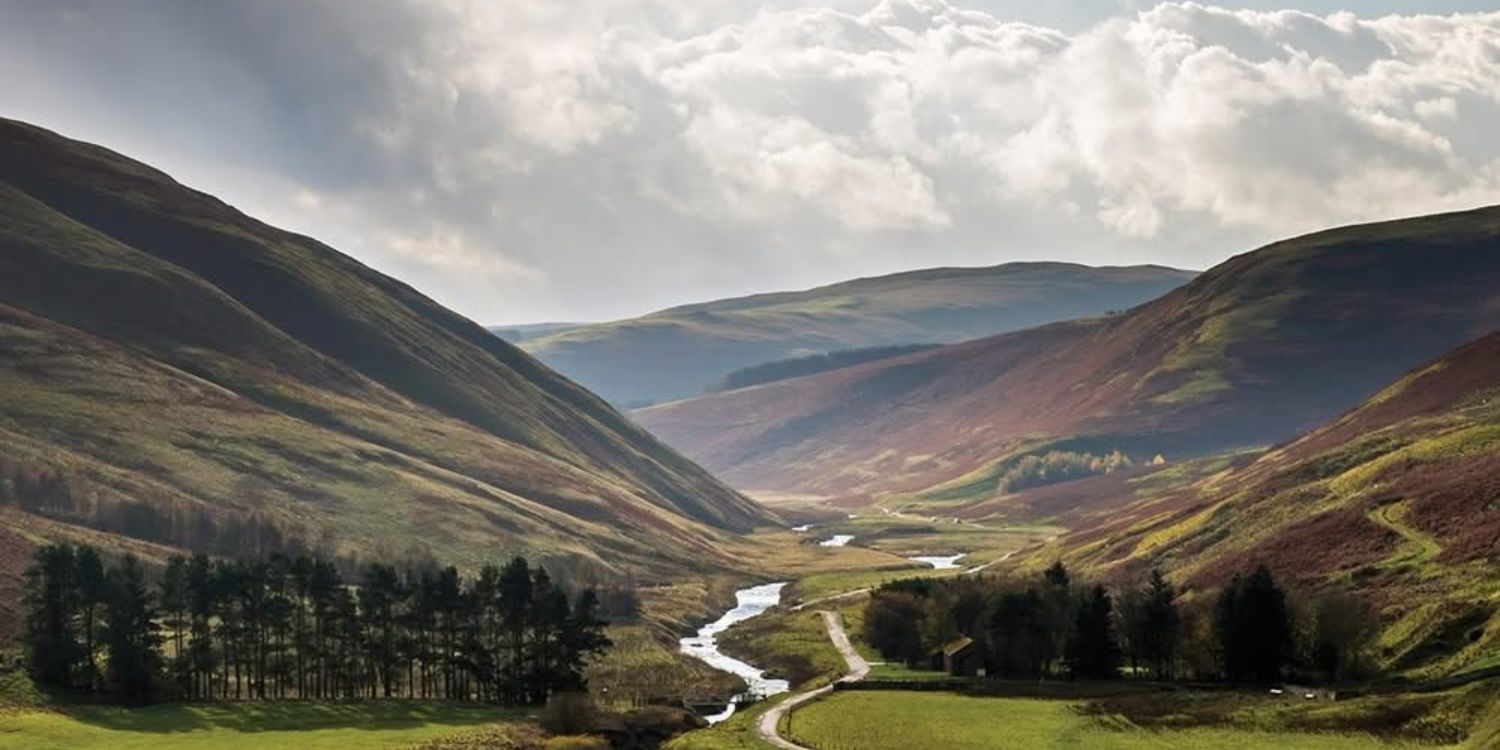March’s Walk of the Month: the enchanting forest trail that leads to a hidden pool