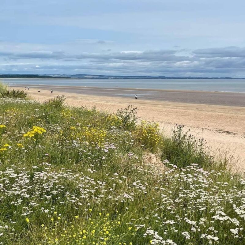 West Sands Beach