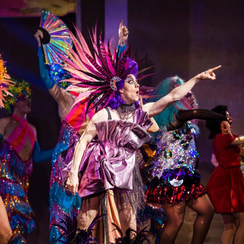 Priscilla Queen of the Desert is coming to Newcastle Theatre Royal – sequins, sass and disco await
