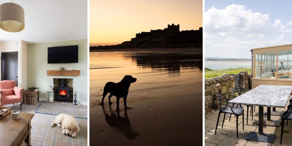 Discover 10 dog-friendly cottages in Northumberland for pawsome North East Escapes