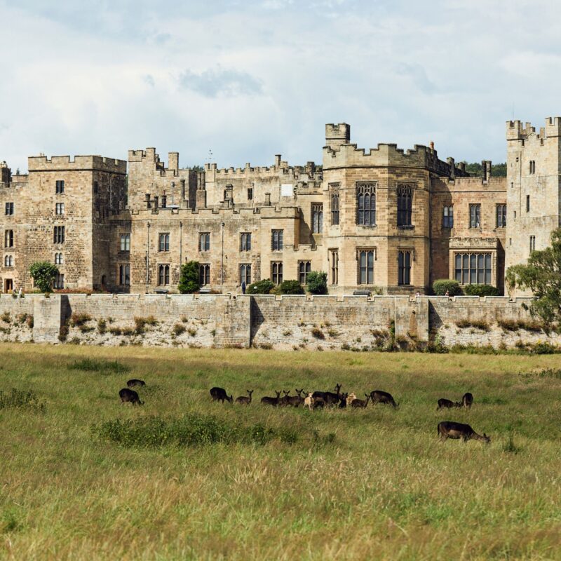 Raby Castle, Park & Gardens