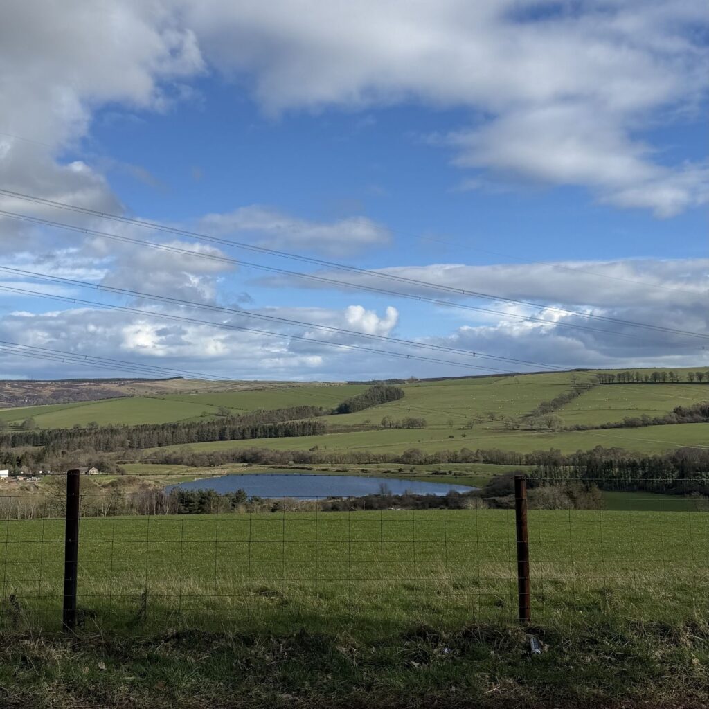 HLN Hikes: The Thrunton Woods walk that rewards you with Cheviot views and a pint