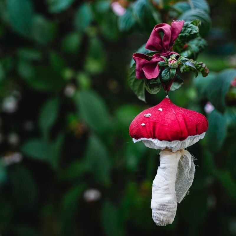 Stitch a Toadstool with Ocre Natural Dye Studio - Wed 10th June